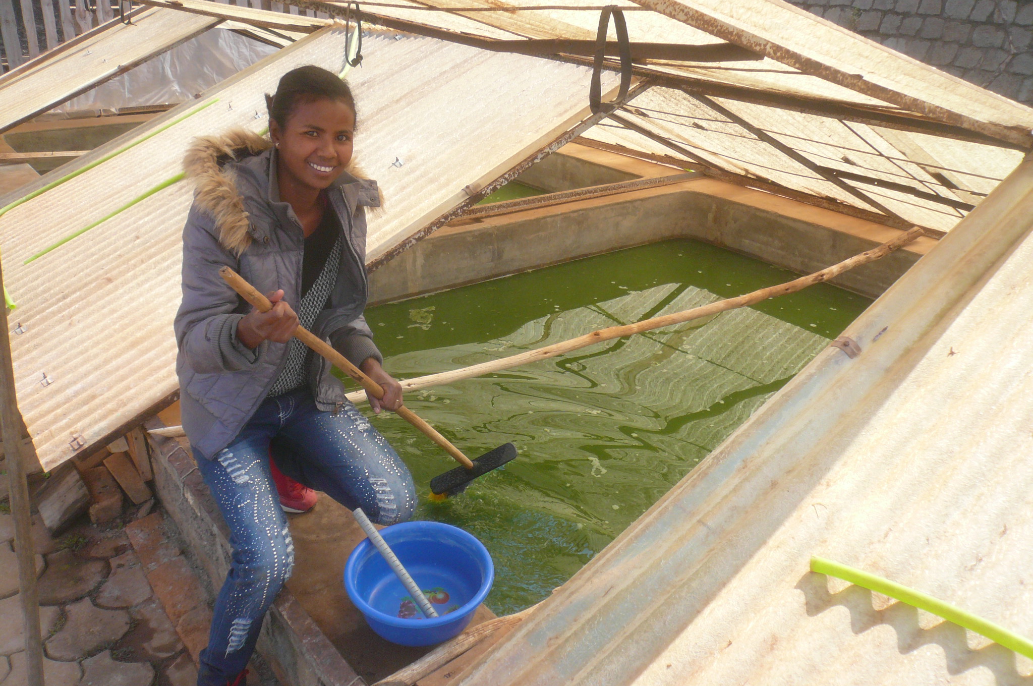 Bassin de Spiruline