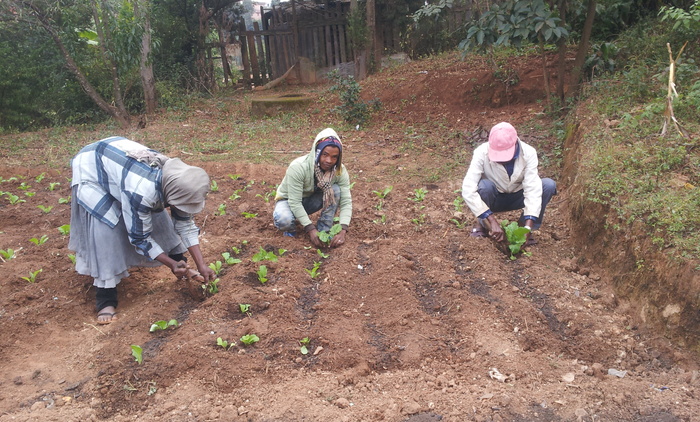 cours d'agriculture